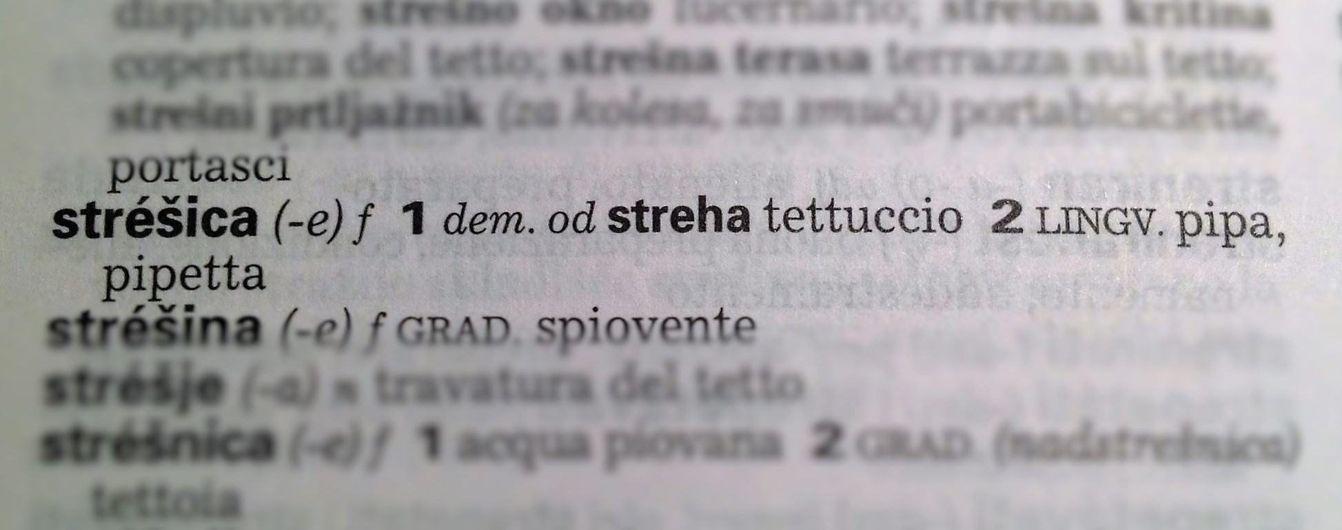 Lettere con pipa per traduzioni slovene
